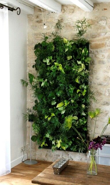 Ideas para tener un jardín interior en casa | Decoración
