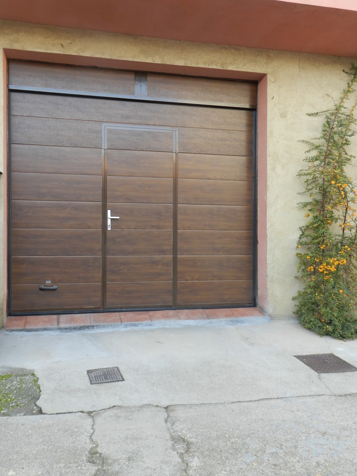 PUERTAS AUTOMATICAS CHARRO: FOTOS DE PUERTAS SECCIONALES CON PUERTA