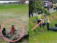 KARENA GUGUP TIDAK MAU TERJARING RZIA  , Pemotor Ini Coba Kabur Malah Nyemplung Sawah! SUNGGUH TRAGIS