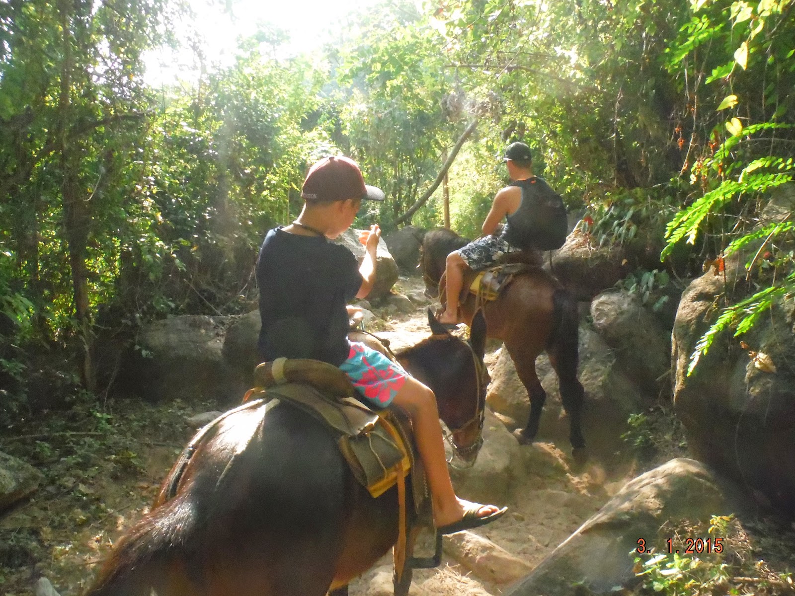 Lyman's Journey The Pie Lady of Yelapa ROCKS!!!! Puerto Vallarta