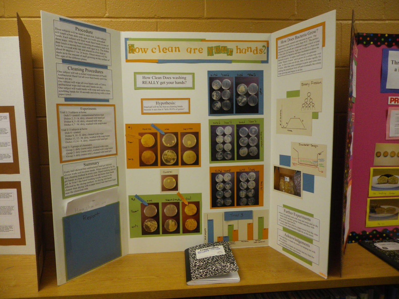 Science Snipits: Cheatham Hill Elementary Science Fair... The 2013 edition!