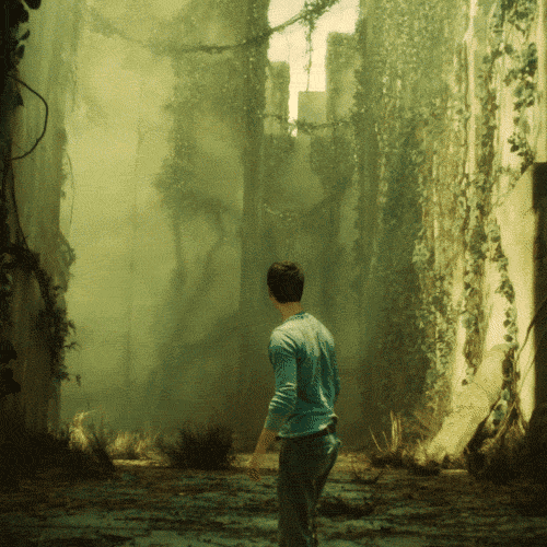 Outdoor Maze Gifs