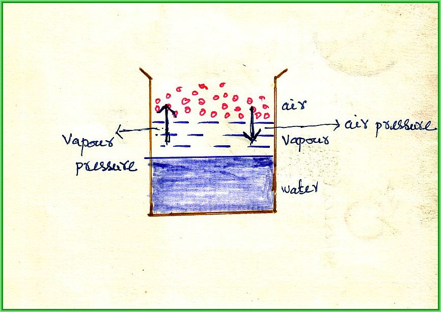 MECHANISM OF BOILING