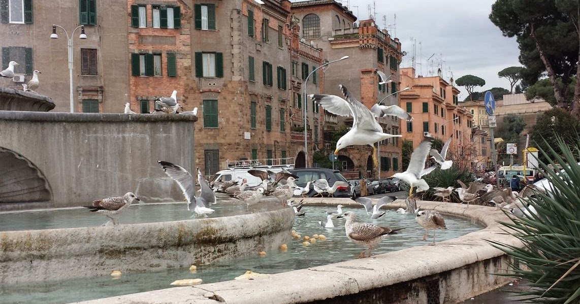 Basta Cartelloni Come in un film di Hitchcock, ogni giorno piazzale degli Eroi viene invasa da Basta Cartelloni Come in un film di Hitchcock, ogni giorno piazzale degli Eroi viene invasa da