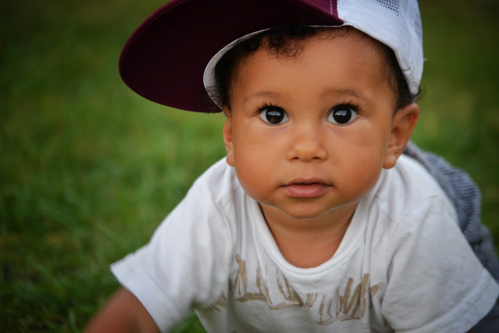 Tedeye Photography Binky Bro Taj, Coronado & California