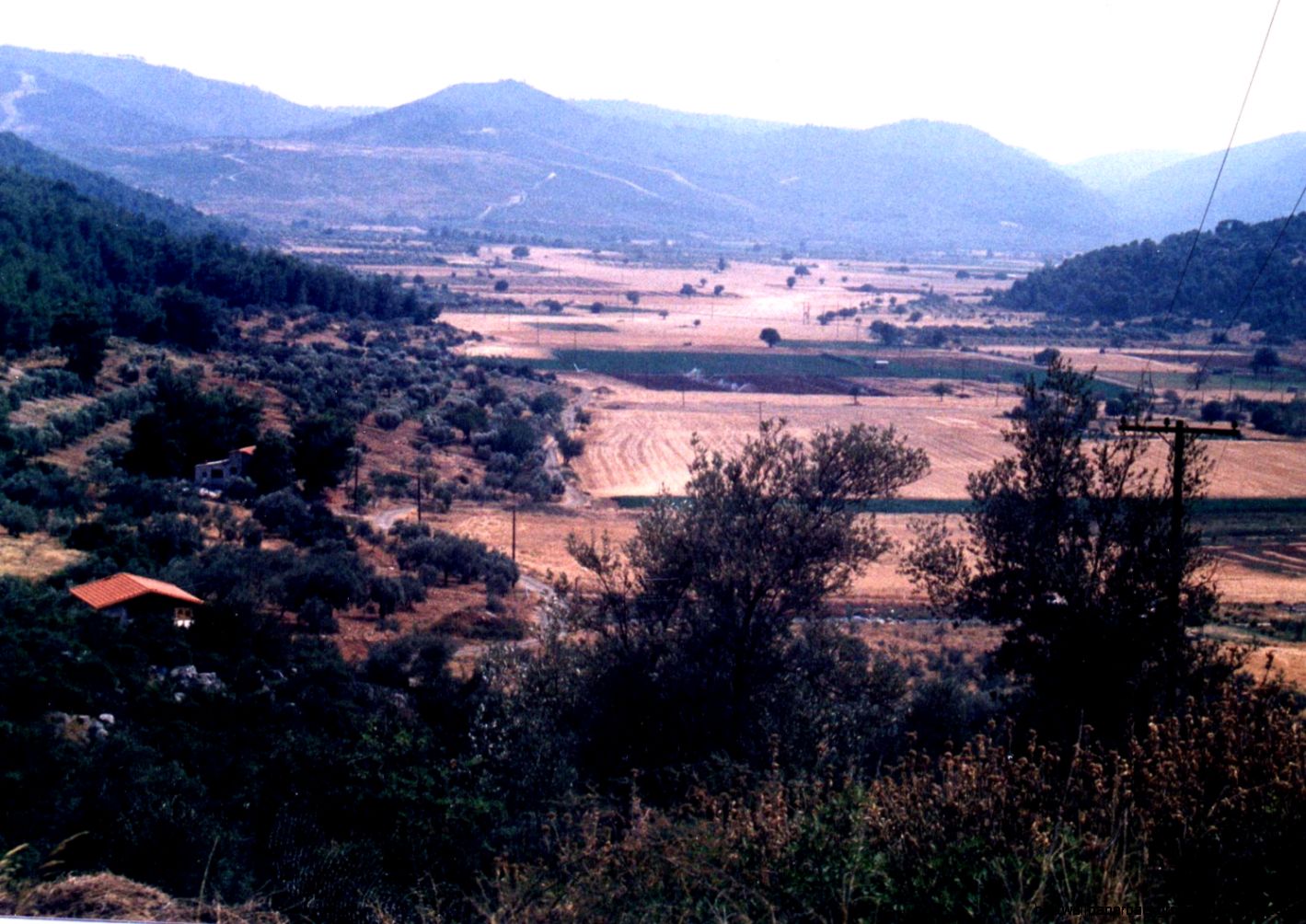 Climate plants and animals of ancient Greece