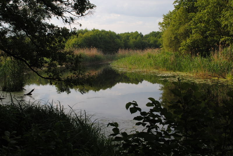 Река ворсклица