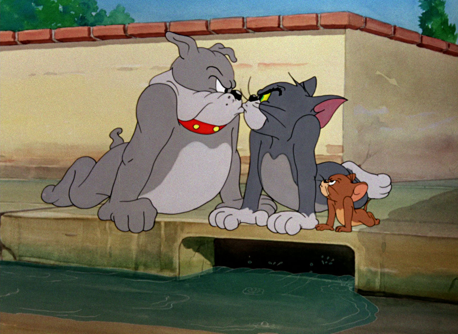 Приключения кот том. Том и Джерри 1995.