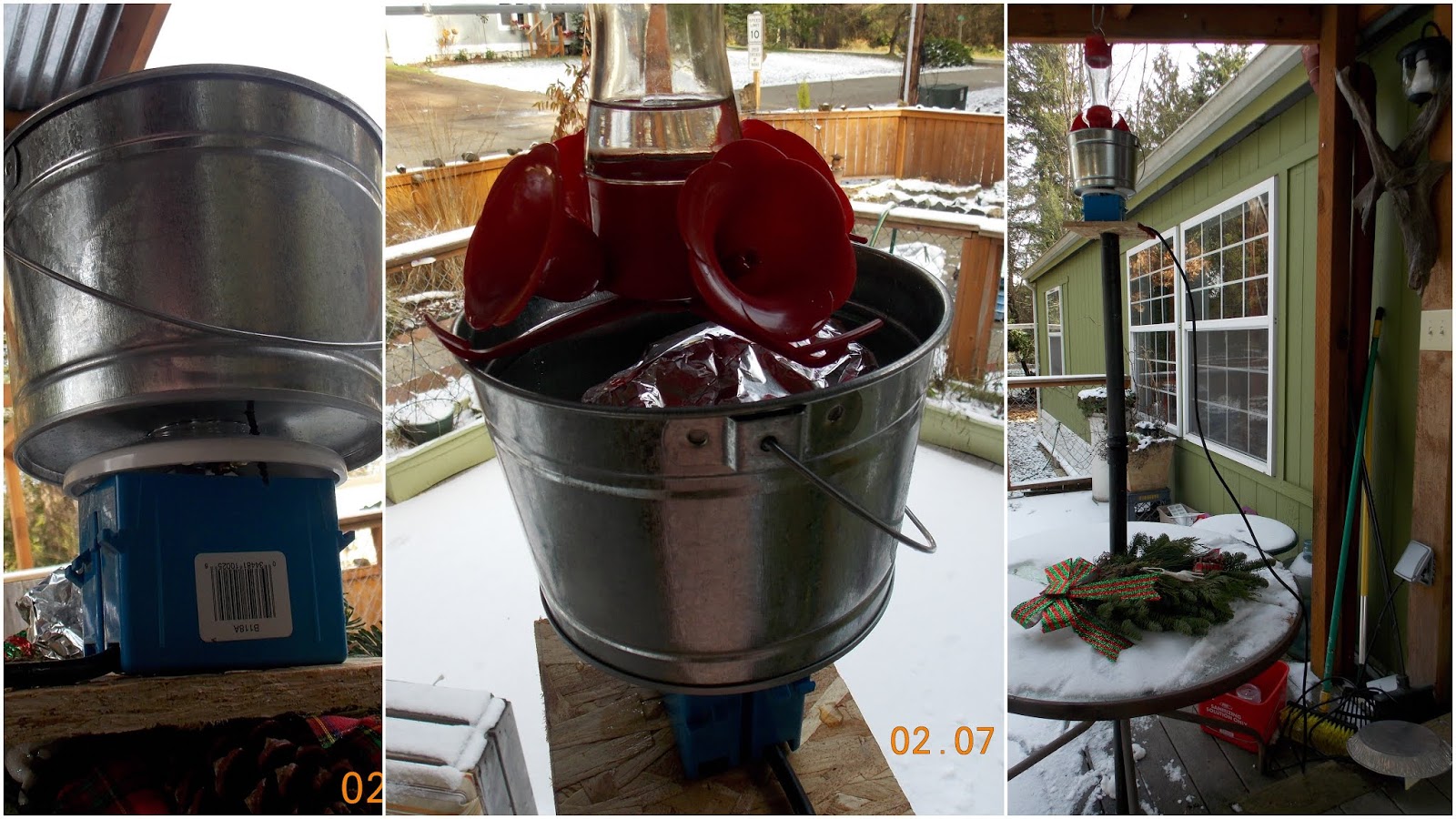 Cat In The Batt Heat For The Hummingbird Feeder