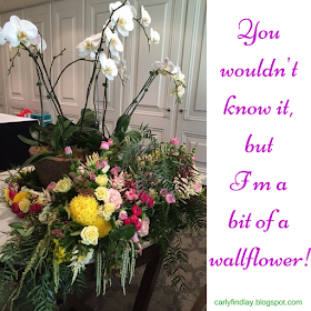 Flowers with caption 'You  wouldn't  know it, but  I'm a  bit of a  wallflower!'