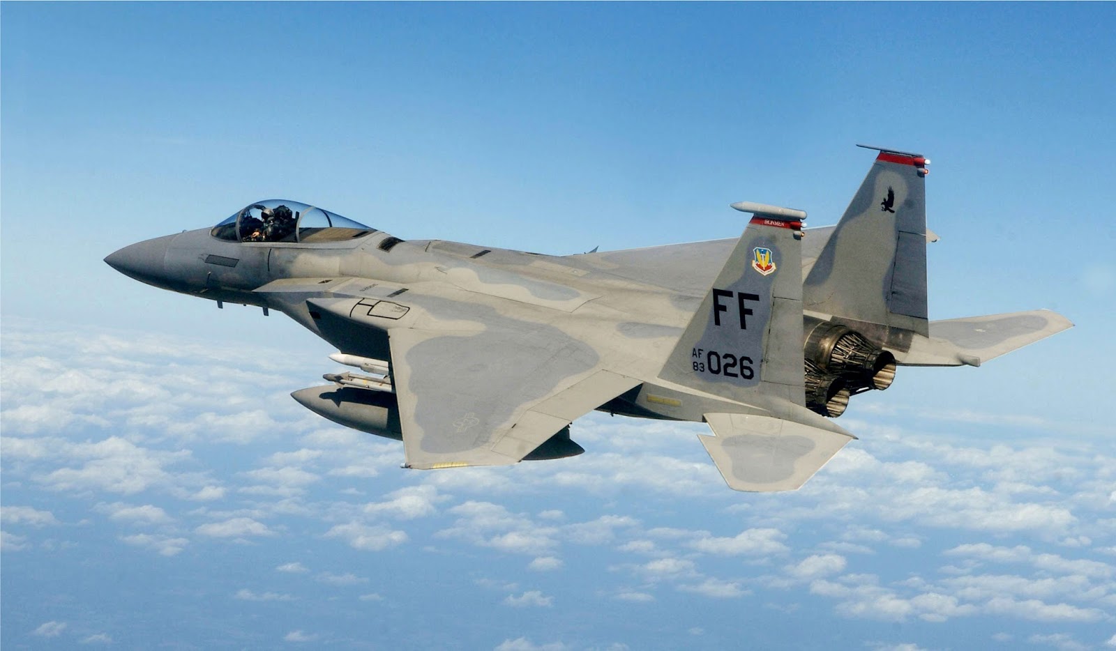 F-15 EAGLE(USA)