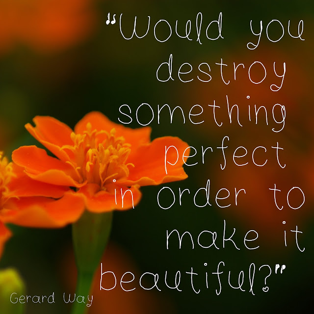 Would you destroy something perfect in order to make it beautiful? - Gerard Way