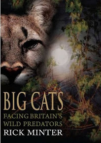 Big Cats: Facing Britain's Wild Predators