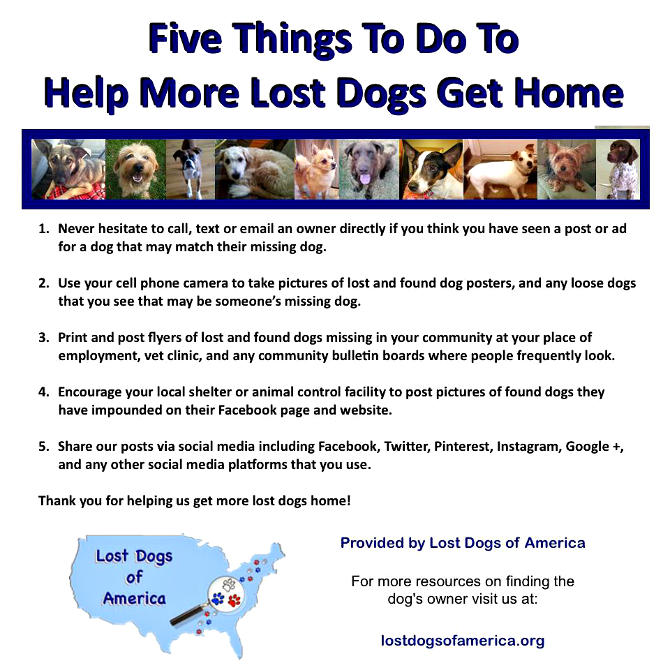 Lost Pet PR Delmarva's Lost and Found Pet Network Found A Loose or