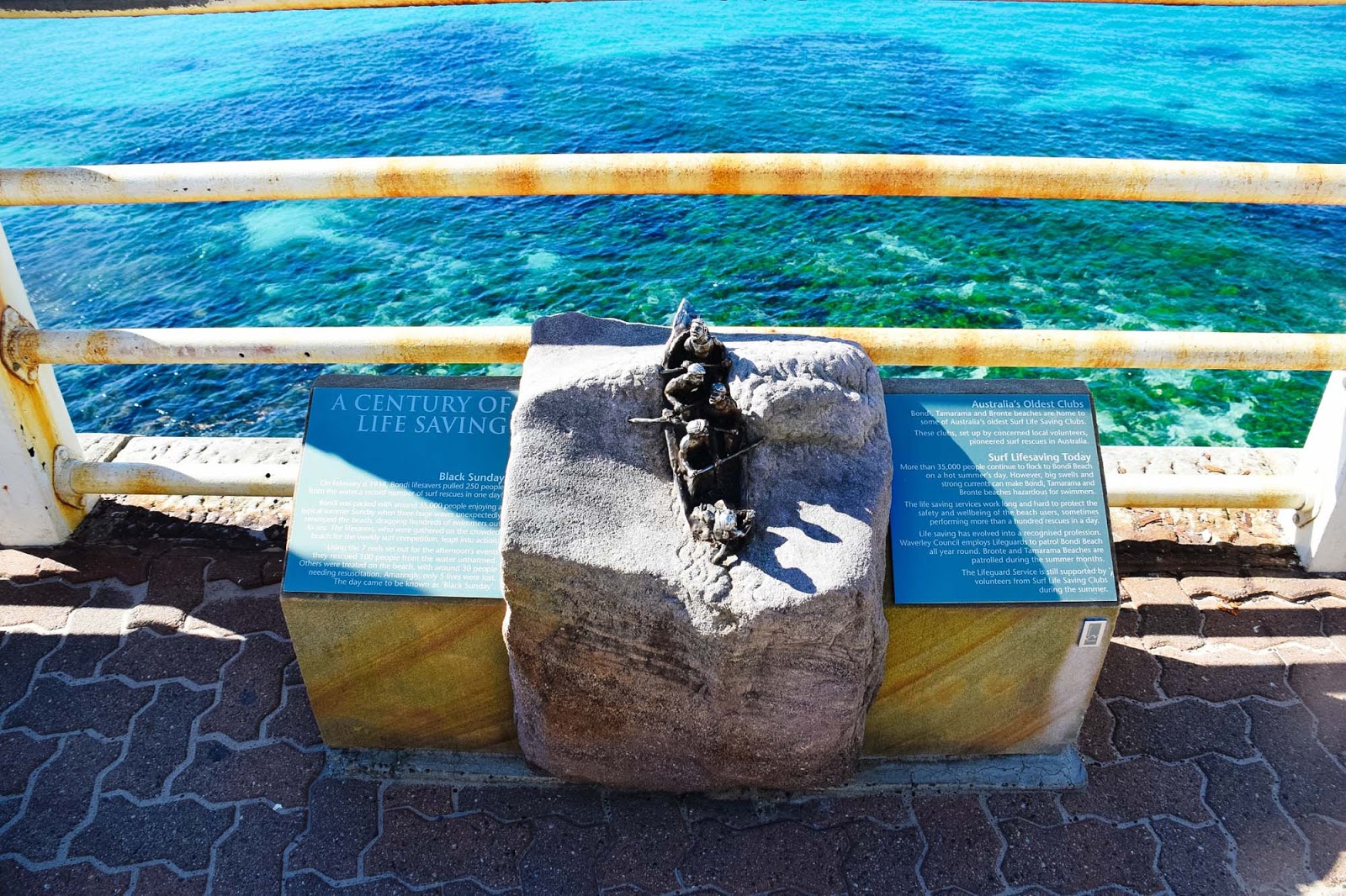 bondi surf lifesaving 