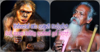 Veddas who killed Nittewas? -- Vedda chieftain Vannila eththo replies Veddas who killed Nittewas? -- Vedda chieftain Vannila eththo replies