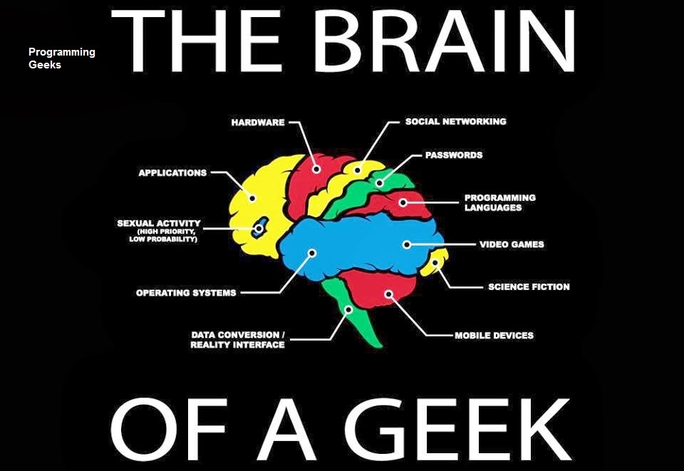 the brain of a Geek Geeks