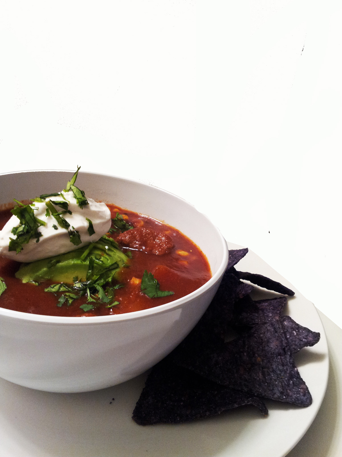 A Profound Hatred of Meat Seitan Enchilada Soup