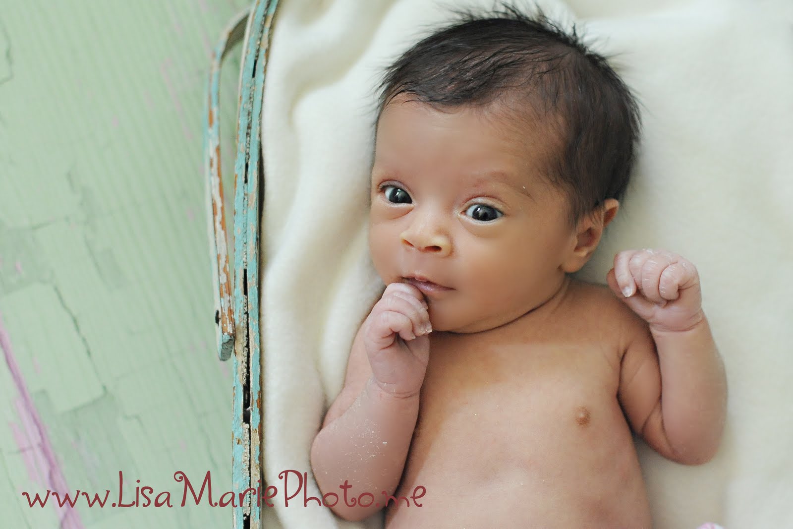 Lisa Marie Photography Baltimore Infant Photographer Miss Emelina 
