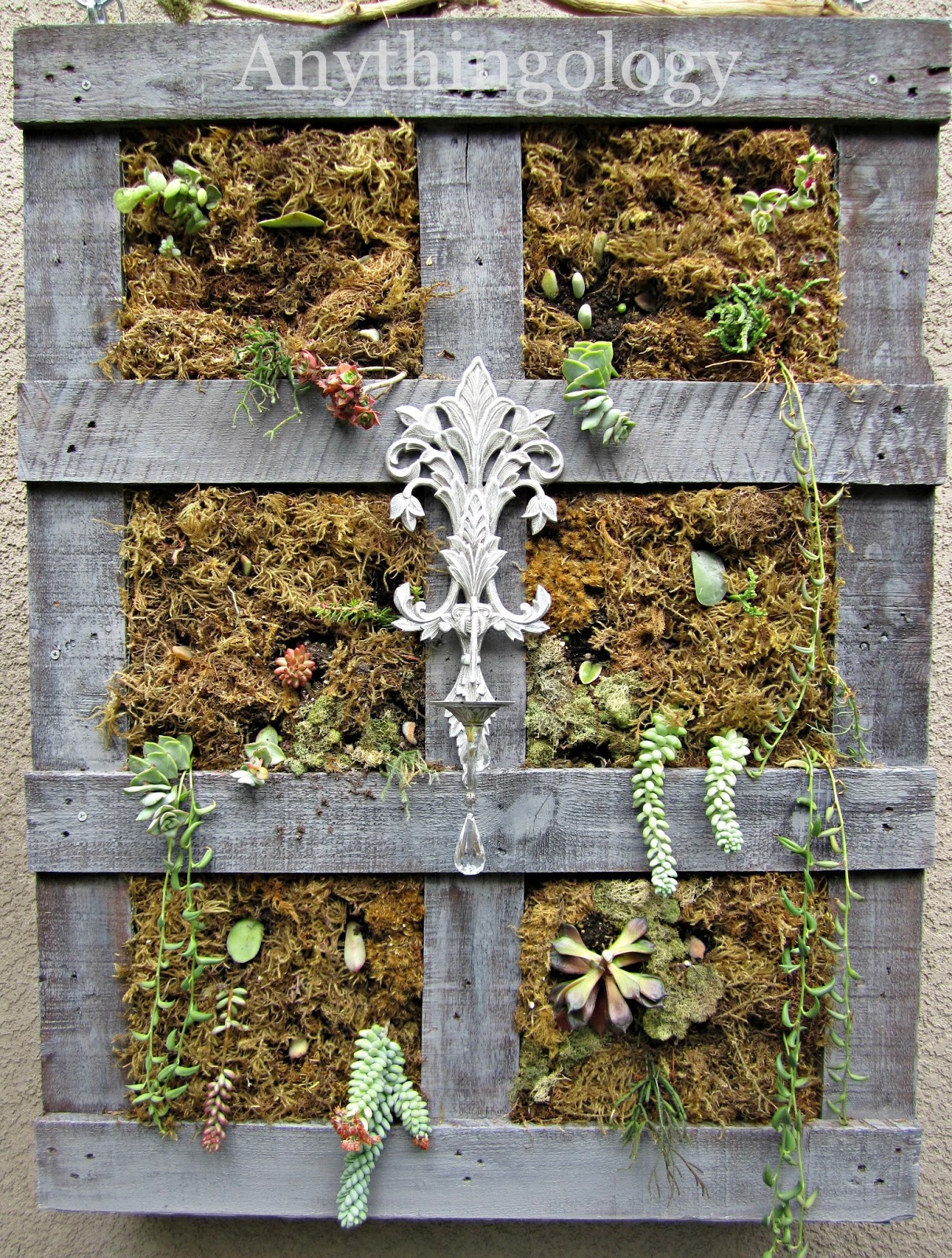 Anythingology: Vertical Pallet Garden Update