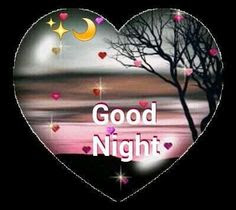 good night good night