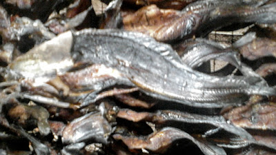 ikan salai lele