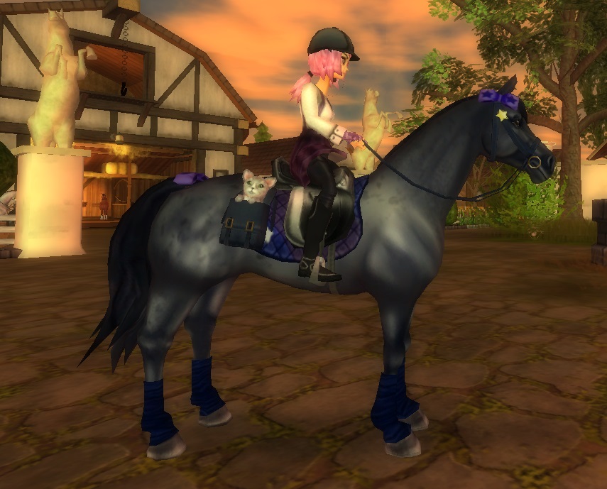 New American Paint Horses Preview They Come Out Tomorrow!