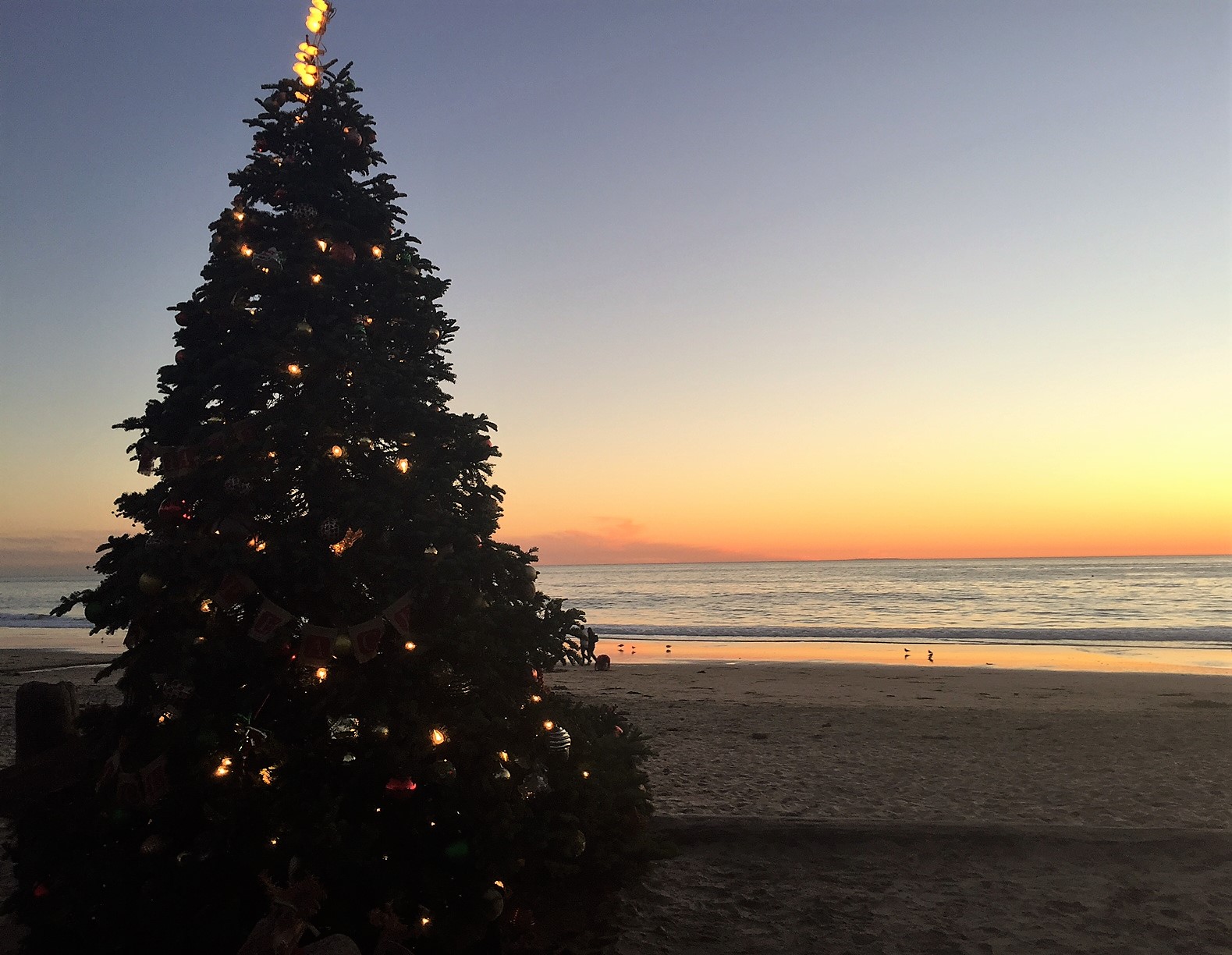 Join The Gossip Crystal Cove Christmas Tree