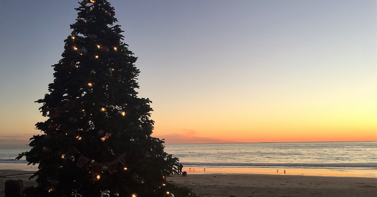 Join The Gossip Crystal Cove Christmas Tree