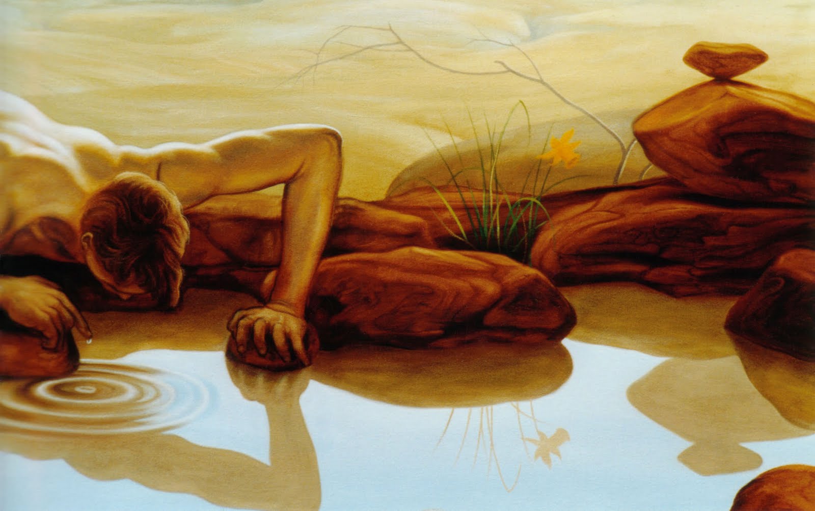 Нарцисс и эхо картины