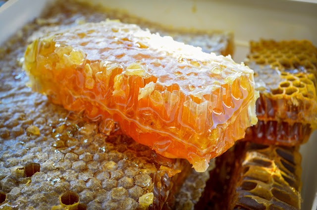 Organic Raw Honey 