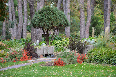 Munsinger Gardens 10/19/2013 Photo by Trisha Field