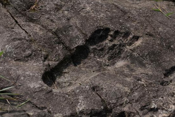 Turistas encuentran huellas fosilizadas de gigantes en un pueblo en China Huella2