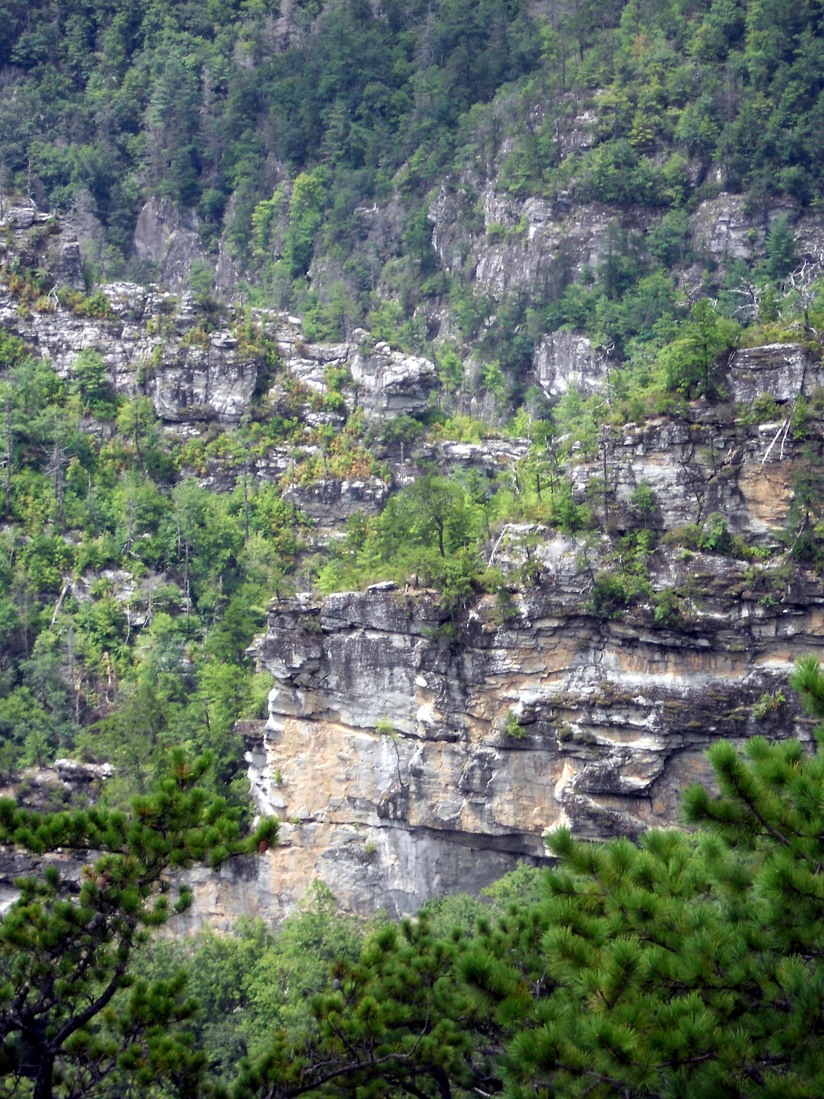 Hiking with a Fat Bald White Guy: Linville Gorge - Devils Cliff