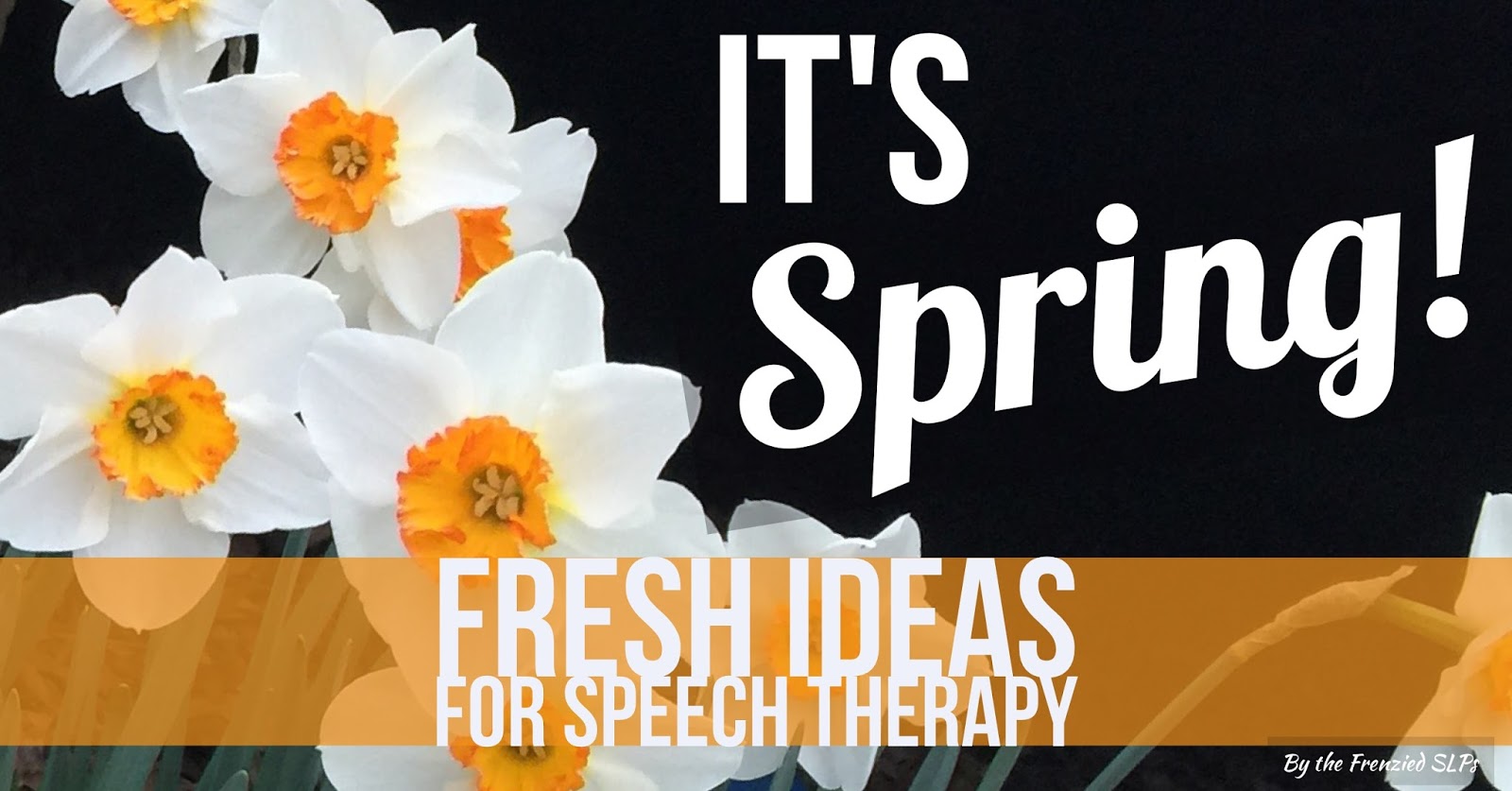 Spring 2024 Specials For Speech Analytics Image to u