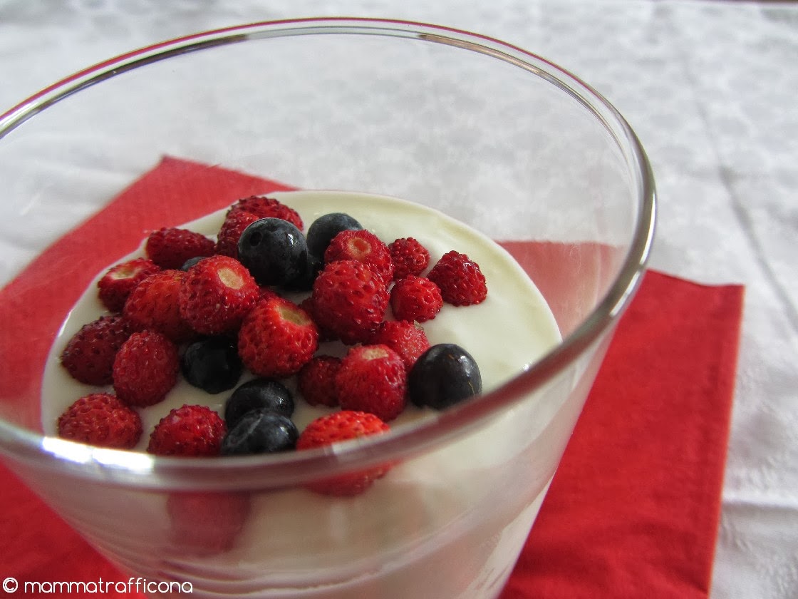 Mammatrafficona Autoproduzione dello yogurt, perchè non