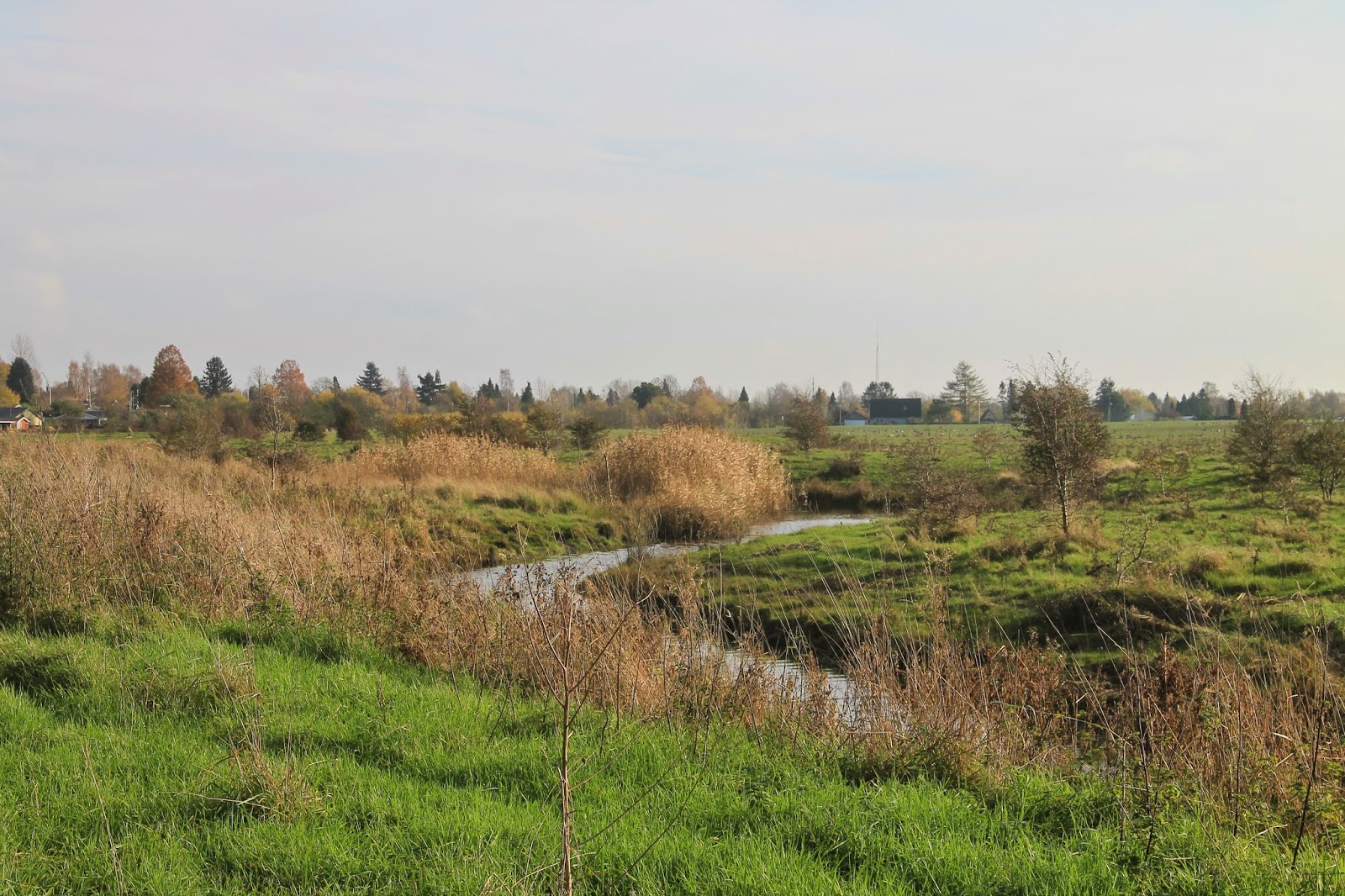 Vandringsløse Tidende: november 2014