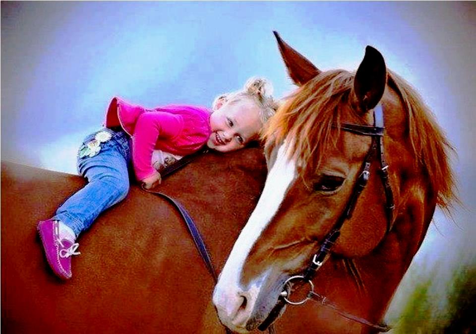 Лошадку навести навести. Лошадь для детей. Фотосессия с лошадьми дети. Детская фотосессия с лошадкой. Дети катаются на лошадях.