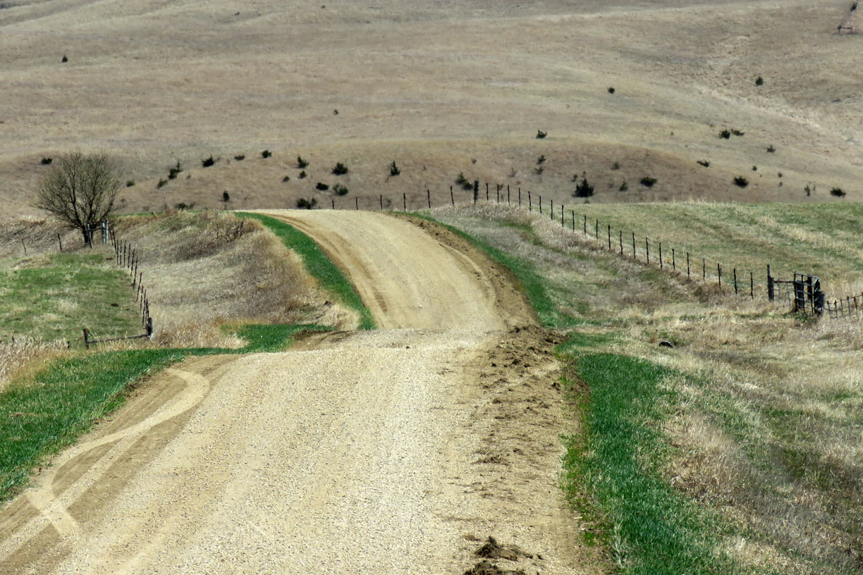 Taken For Granted Rolling Road