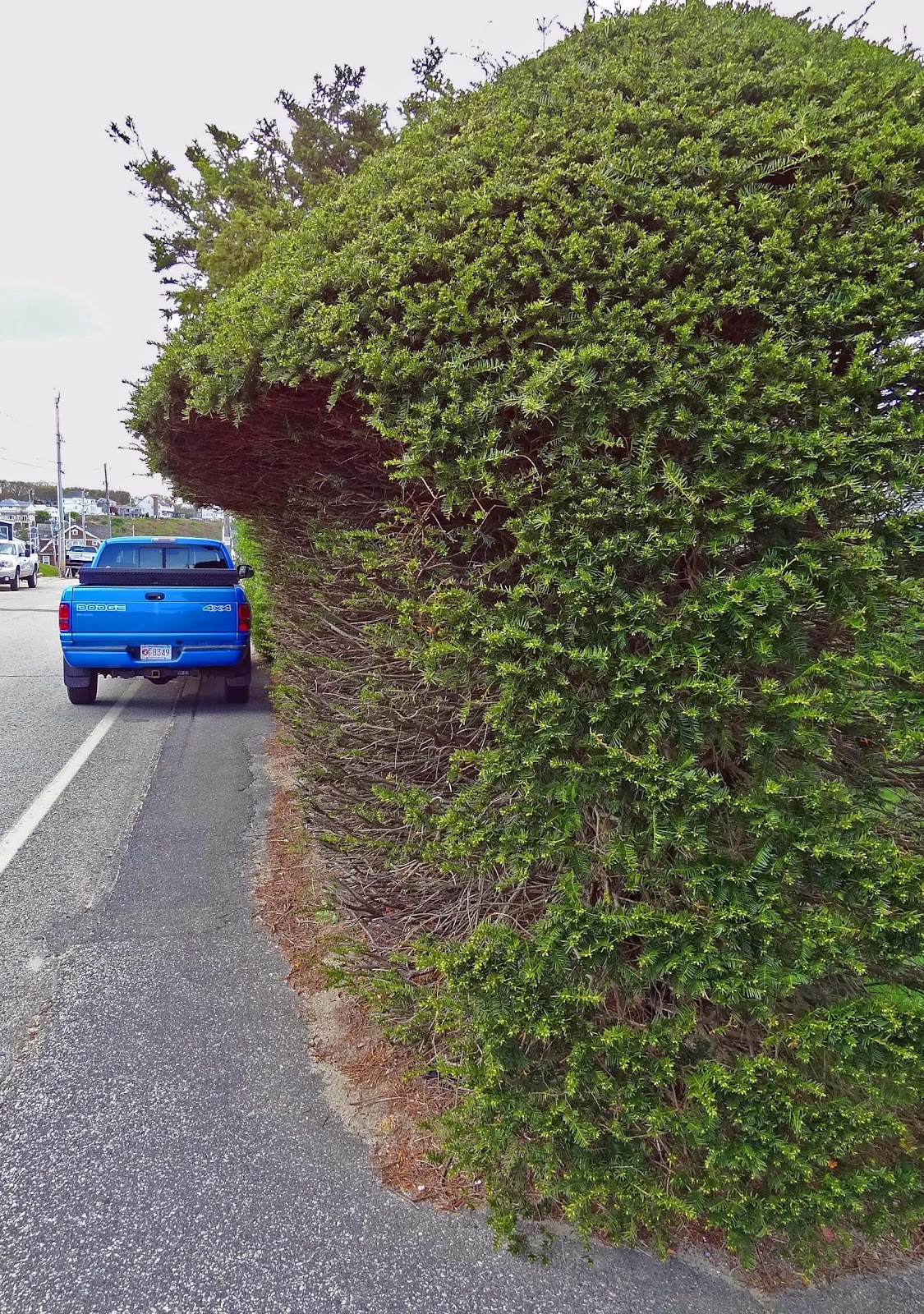 Joe's Retirement Blog Priscilla Beach, Plymouth, Massachusetts, USA