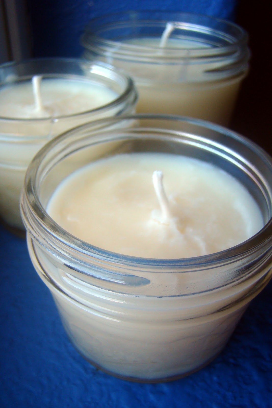 Nourished and Nurtured Tallow Container Candles