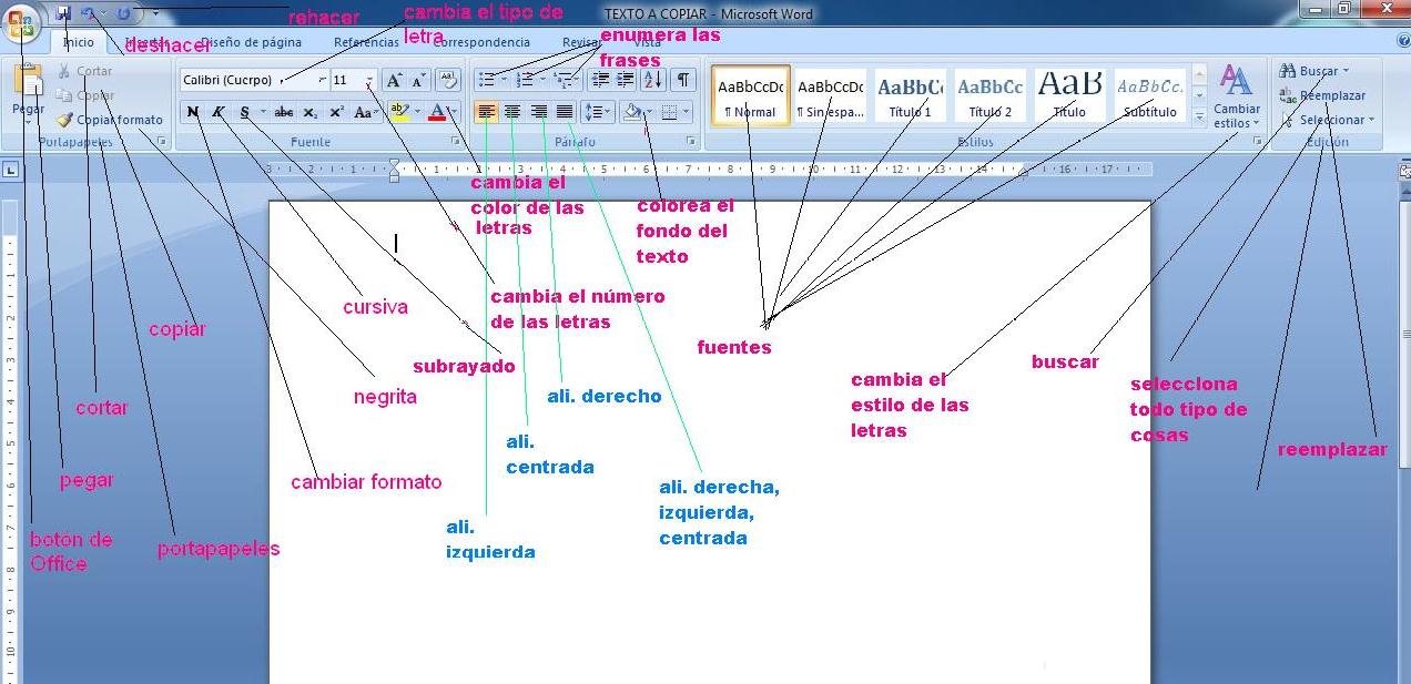 WORD: partes de word