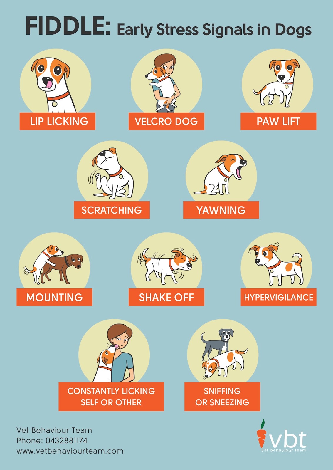 Hybrid Dog Training Posters about stress