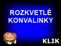 ROZKVETLÉ KONVALINKY