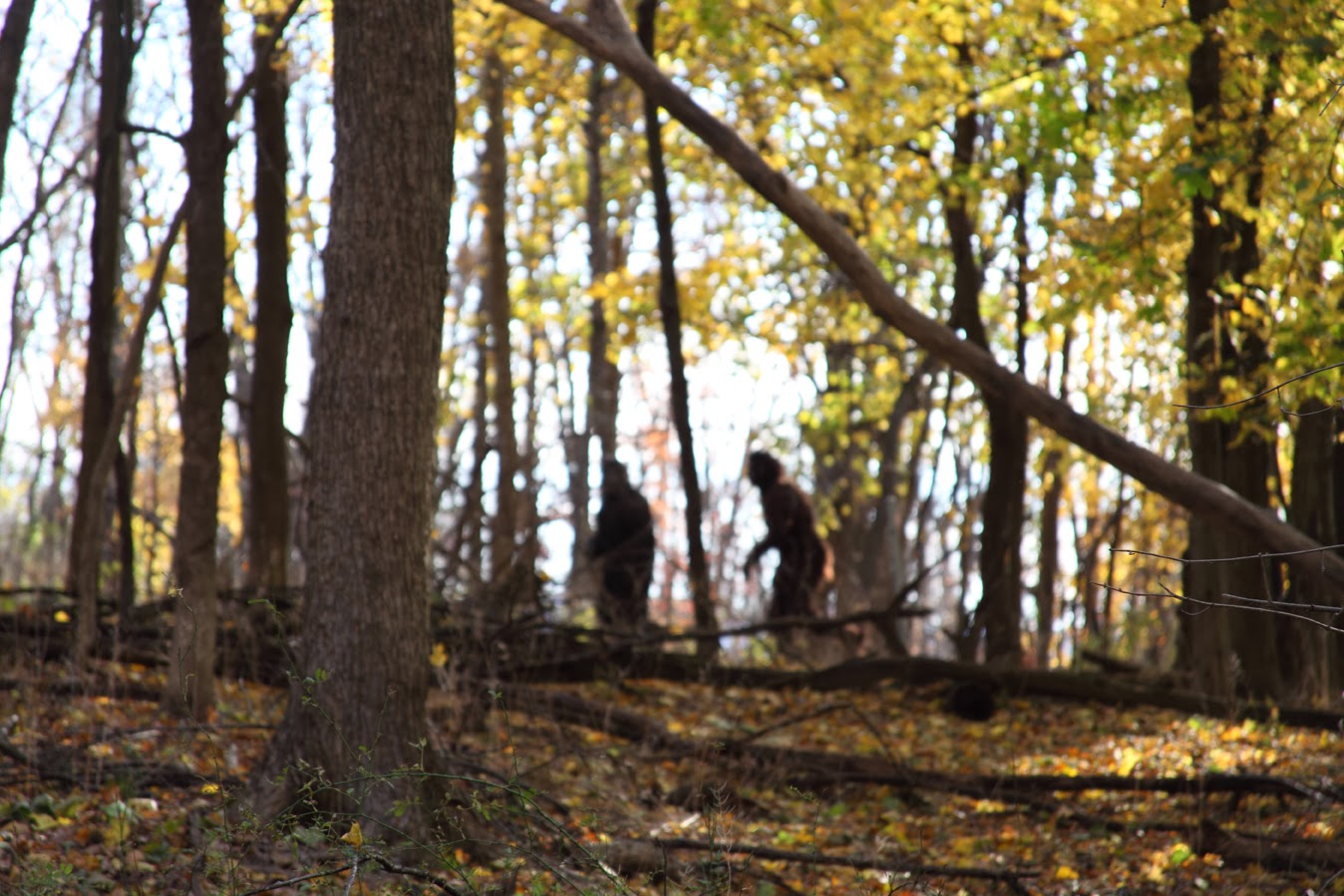 Beacon Bigfoot: Pair of Bigfoots