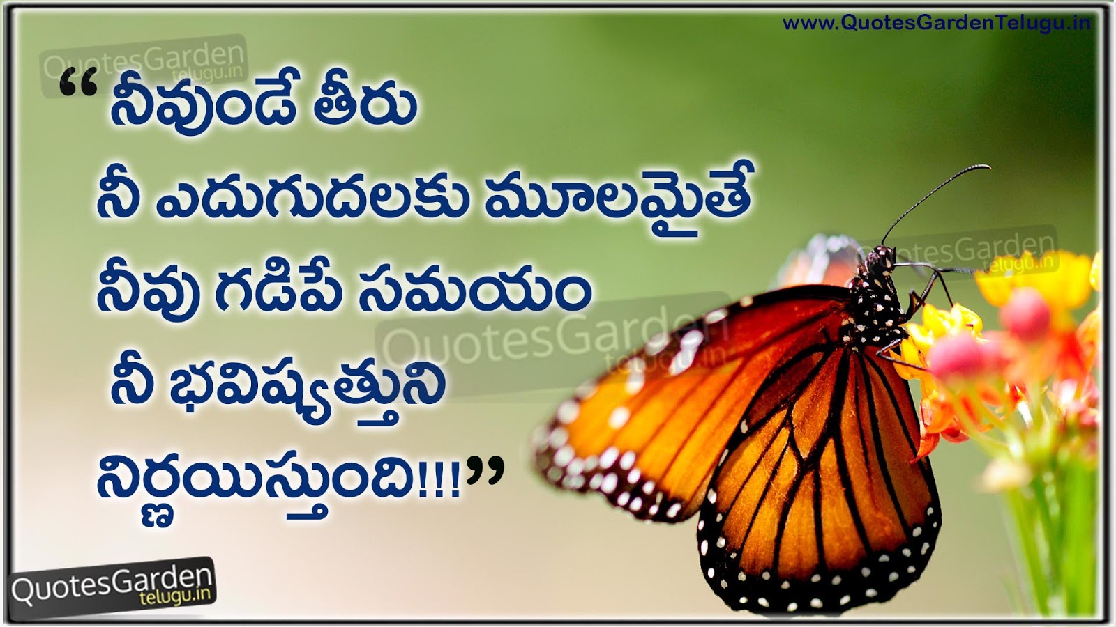 Telugu Time Value Quotations QUOTES GARDEN TELUGU Telugu Quotes