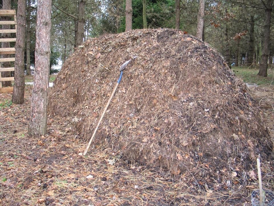 Healthy Sustainable Living Make Your Own (easy!) Compost Pile