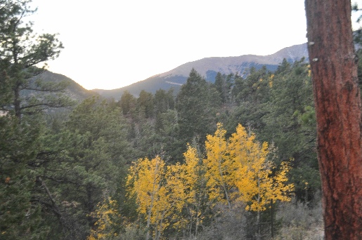 The Incline in Colorado Springs coloradoviews.blogspot.com