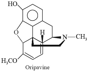 Oripavine