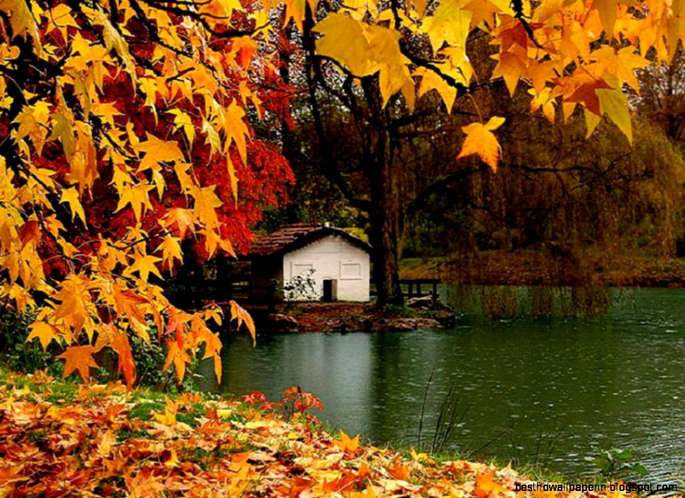 High Resolution Fall 2 Wallpapers and Background